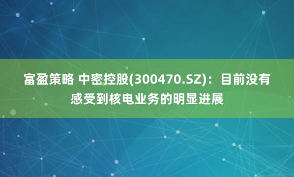 富盈策略 中密控股(300470.SZ)：目前没有感受到核电业务的明显进展