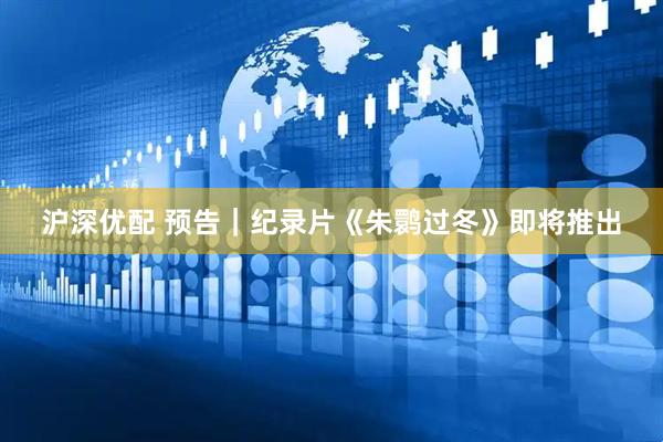 沪深优配 预告｜纪录片《朱鹮过冬》即将推出
